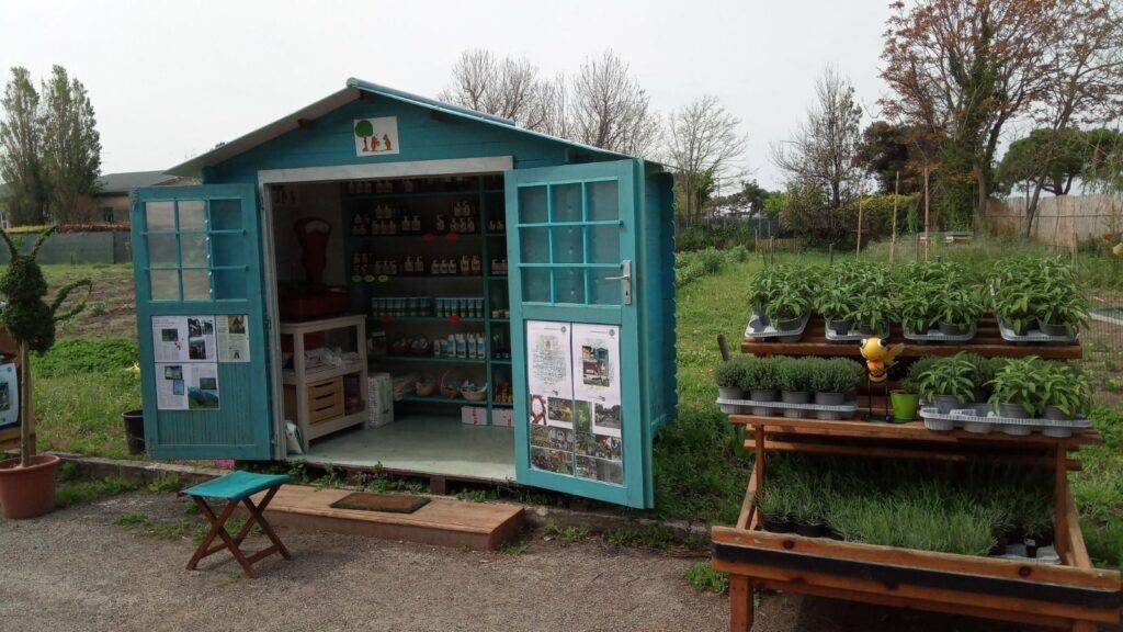 Il chioschetto in legno azzurro a fondo campo, aperto, con i prodotti sugli scaffali e le piantine aromatiche in vendita sul bancale