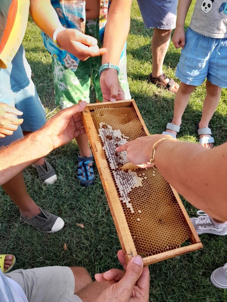 Mani di ragazzi intorno a un telaio di favo