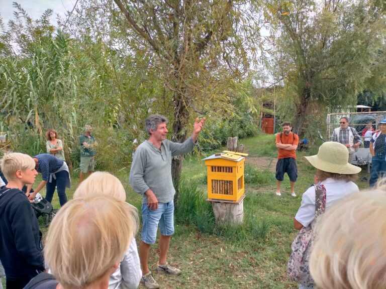 Un gruppo in visita guidata all'apiario scuola